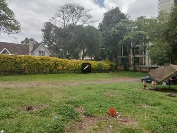 19e99254 6366 4143 83d9 12bf9f396060