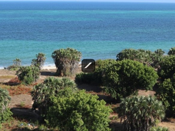 1e4fe2d7 e24b 4038 a1b2 8f171d85977d