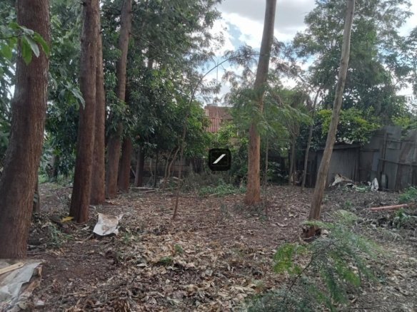 2c831197 60b6 49a4 b383 789f210017e6