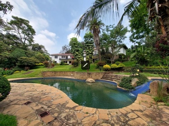 2fdf83a3 6cb8 4cc7 b1fe f0fcd1a25392