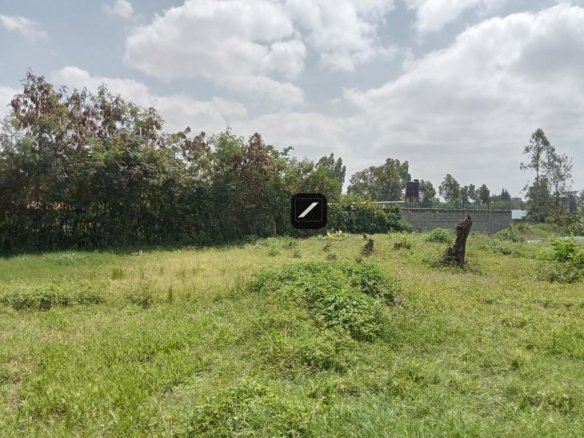 2fff6055 772e 45ac a8c3 a260cee62299