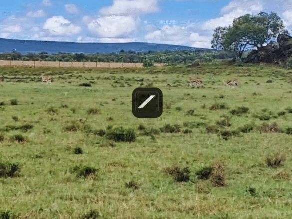 33fd6dcb 23e8 4ef2 96a5 21779ab7ac60