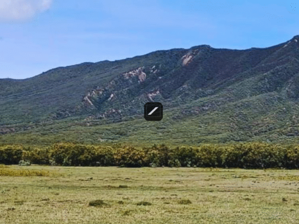 35f27bce 4dda 4672 ab03 6871322b2db6 (1)