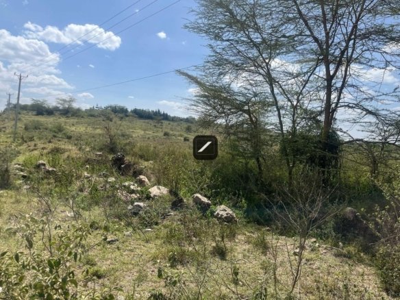 3c3e7cb7 aa23 450a b9ce 62d44ae918a7