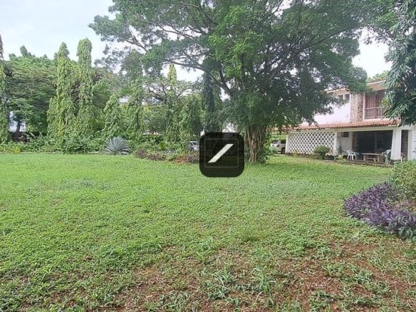 3de7b95c de5f 40a2 97a3 972e2d81e3ef (2)