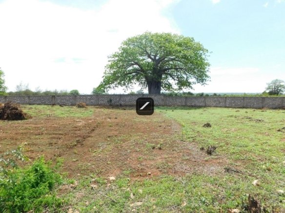 3fc08f3b b243 4197 8b12 10c6abc90033