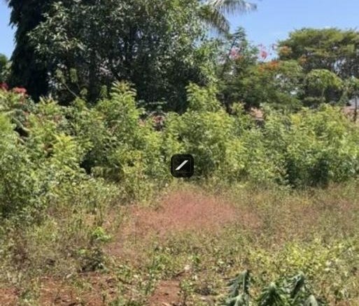 5170c2cc d288 430a a447 b305e5c4943c