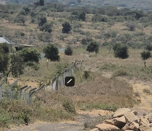 5918de53 1b44 4d9f a718 0aadaccbce97