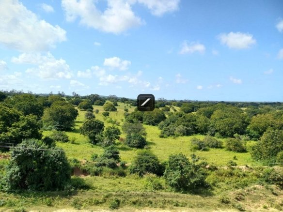 5a210f0a 501d 42c4 9c22 6d0c53ad80e6