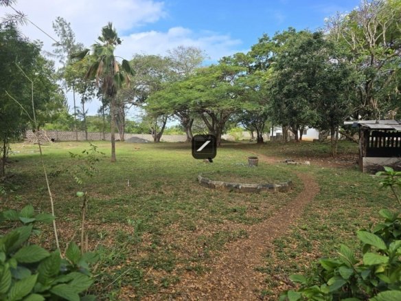 6cc8386f dd84 491e b92a 45adf9240ad3