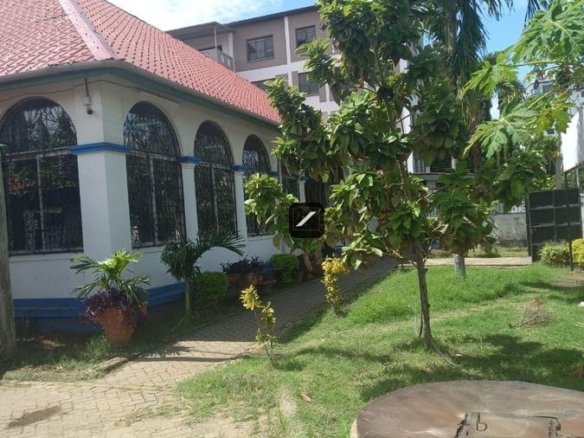 703fca21 b025 4c8d a105 0c31b09980b7