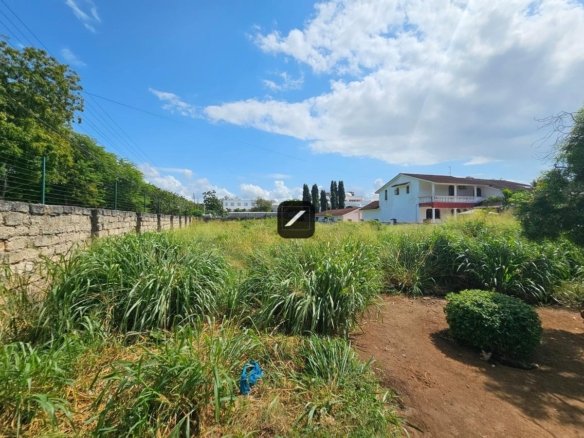 7fbe3bc1 cd5f 4f77 ab48 0db69c16fe82