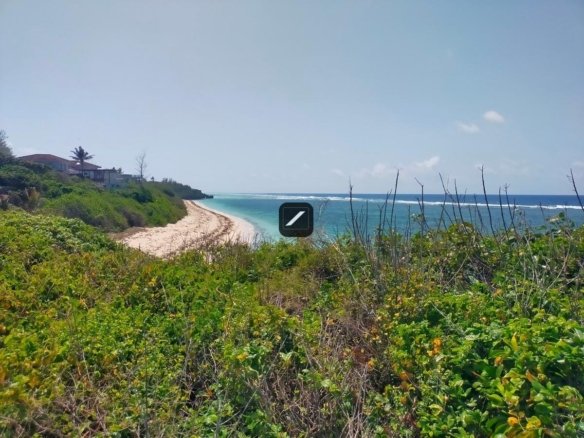 961841b3 331d 435d 93c0 1456cda4167a