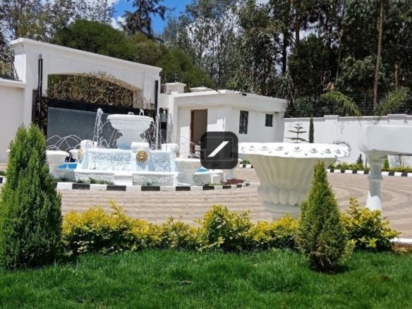 9749714d e9c5 4b46 974a d3ecbad71d94