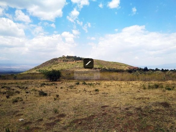 9c499e2f edfd 4a75 85e6 727cb878fc91