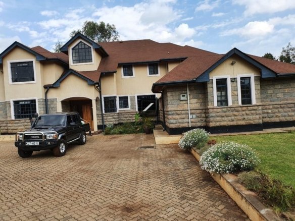 9d82d3c7 e976 425e bb45 62fd334e125b