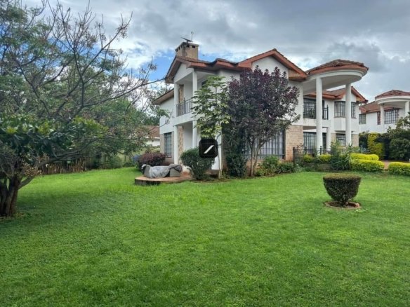 WhatsApp Image 2024 07 05 at 18.46.48