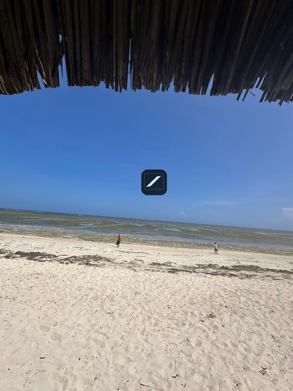 WhatsApp-Image-2024-10-03-at-09.19.03