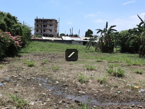 Aa3d549f 2976 47a2 90d1 c6bb0db60b53