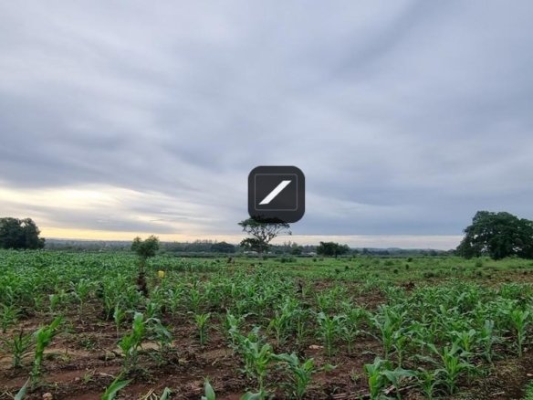 Ad7b7901 c5dd 400b 9a86 bfea36e7f552