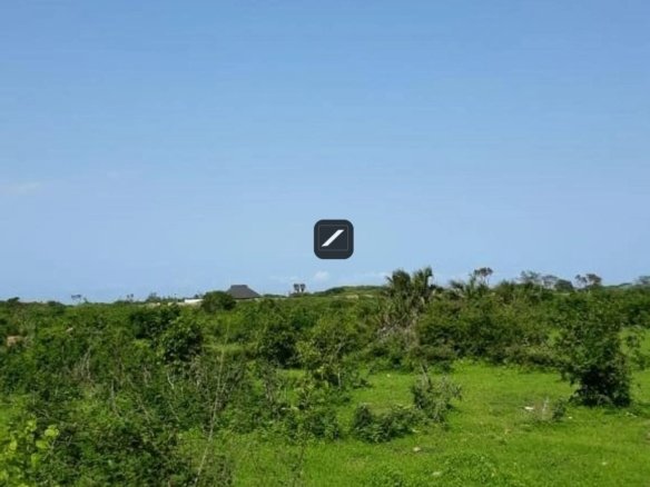 B8dc482b 085f 4dec ae20 c62c5c0d0c48