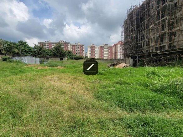 Bd019939 81a8 47db b870 a5738ad6d12e