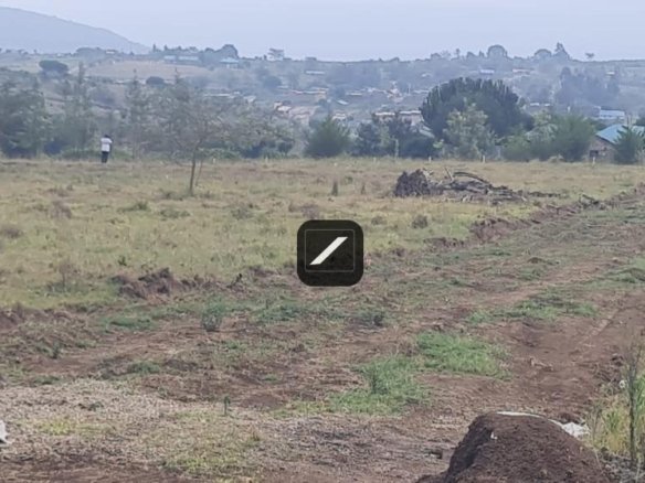 C0c4b309 ffcb 4e26 9f52 d40c3472c5d5