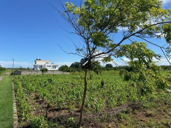 C40b63f0 ef95 4db9 8cd2 5ab2ed7aea23