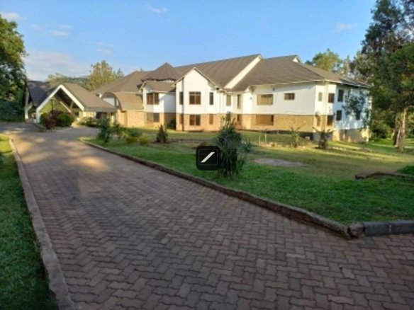 D034ce50 4675 4a1b b38f 6986a656e99d