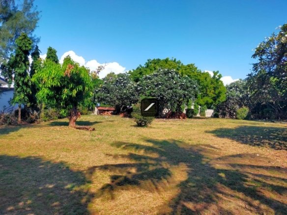 D223baa8 9bf1 4e0a 9812 b7f407f12c33