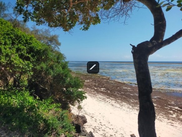 D3a5189e 4314 4cb1 bcf1 08e1859ddea0