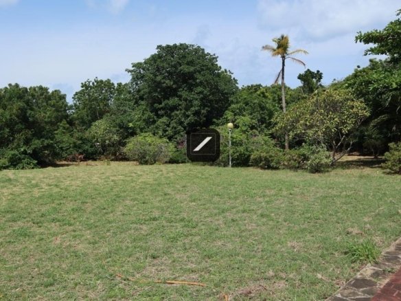 D8b47316 898e 442b 972f ca082fa4ca14