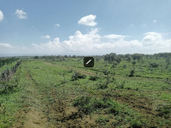 D92b1f38 e7ed 46be 8256 d6e327e092d9