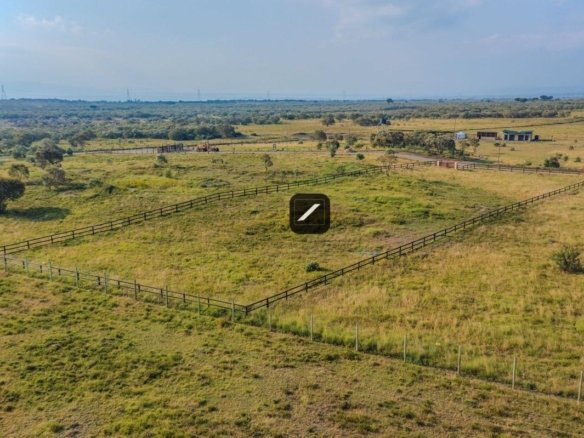 E3d402ae c155 4b98 b926 54fc38910d96