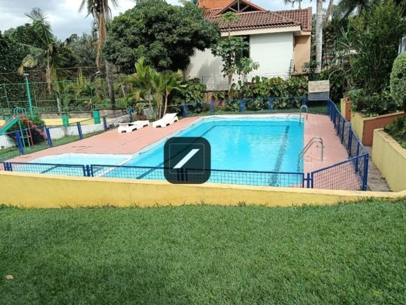 Ed4c8d0a 36bb 4d8a b32d 479231917b1e