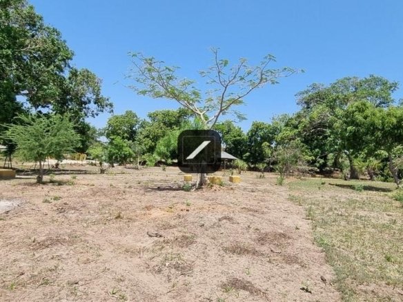 Eefc7ece 6232 4905 8cec c838886b6607