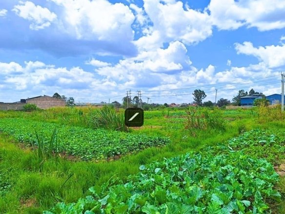 Ef210e8f 705f 457c 982d 5306ef7c57c8