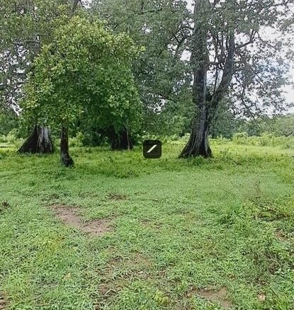 F86cf14e fbae 42e0 b340 53dc0246437b