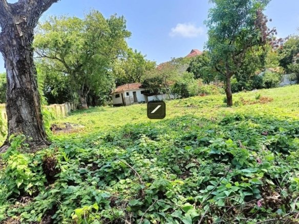 F9ff8fc4 6fbf 4cf3 8006 f26db03ea140