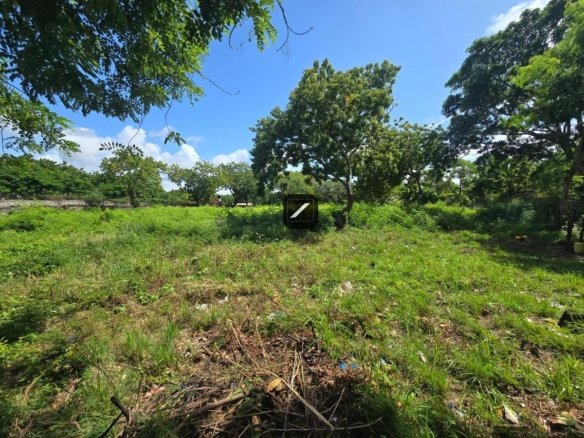 Fd2bfb7d 0b2d 4a86 9ce3 804b3da8a8af