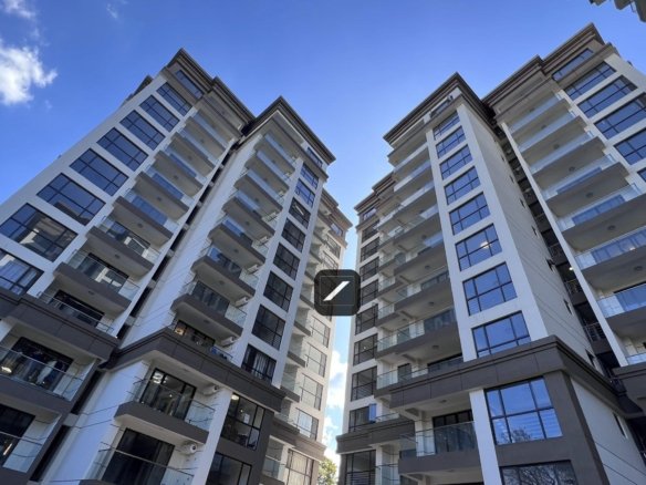 Image00001 scaled (1)