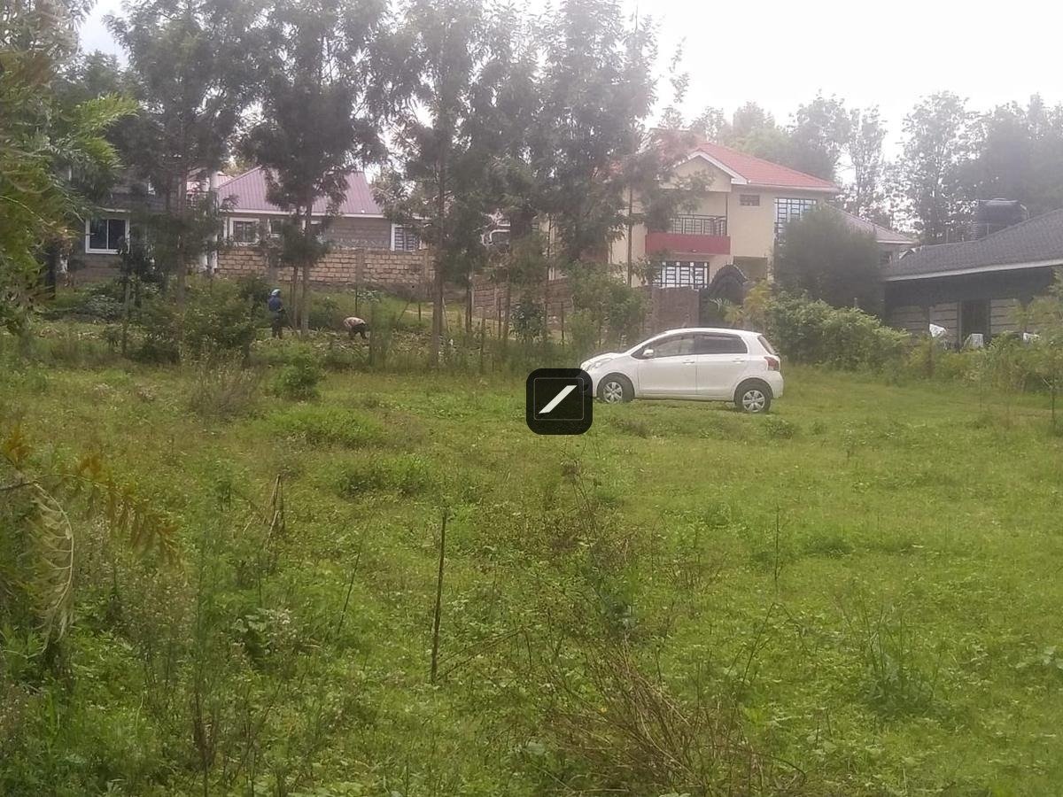 imgi_10_0d73851b-3052-4997-9fa3-6059b1230018