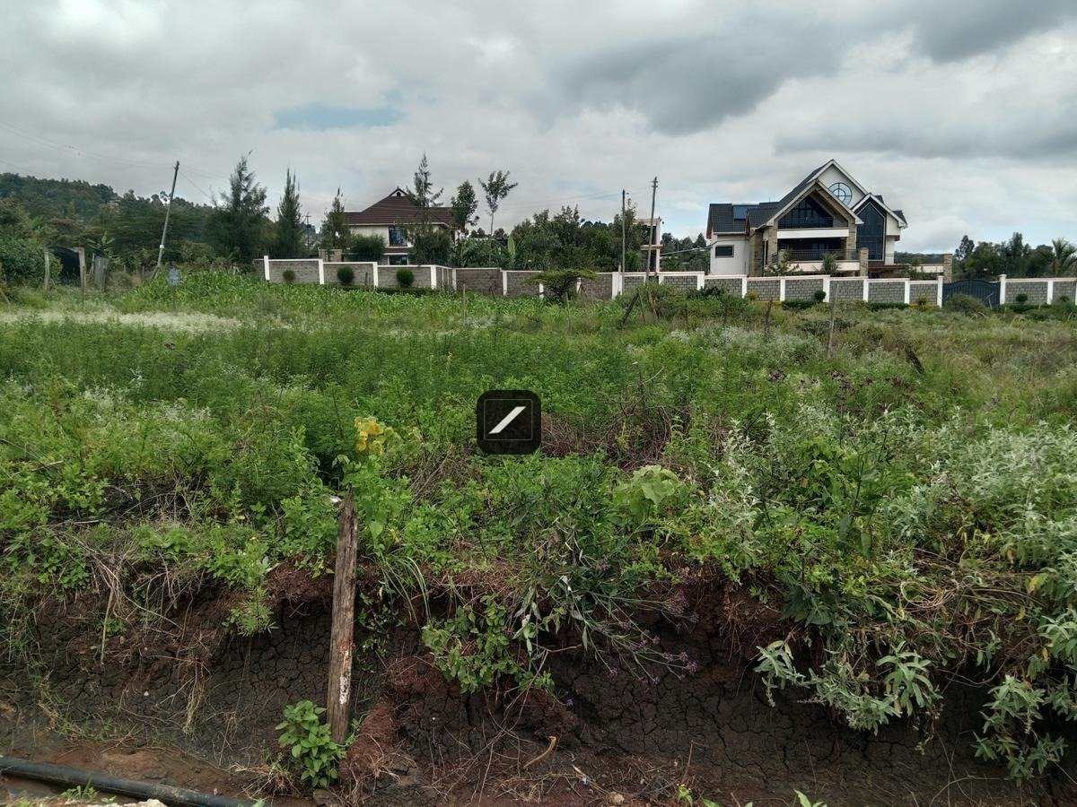 imgi_10_1865d314-c93b-4b18-a32e-4065e9a089e8