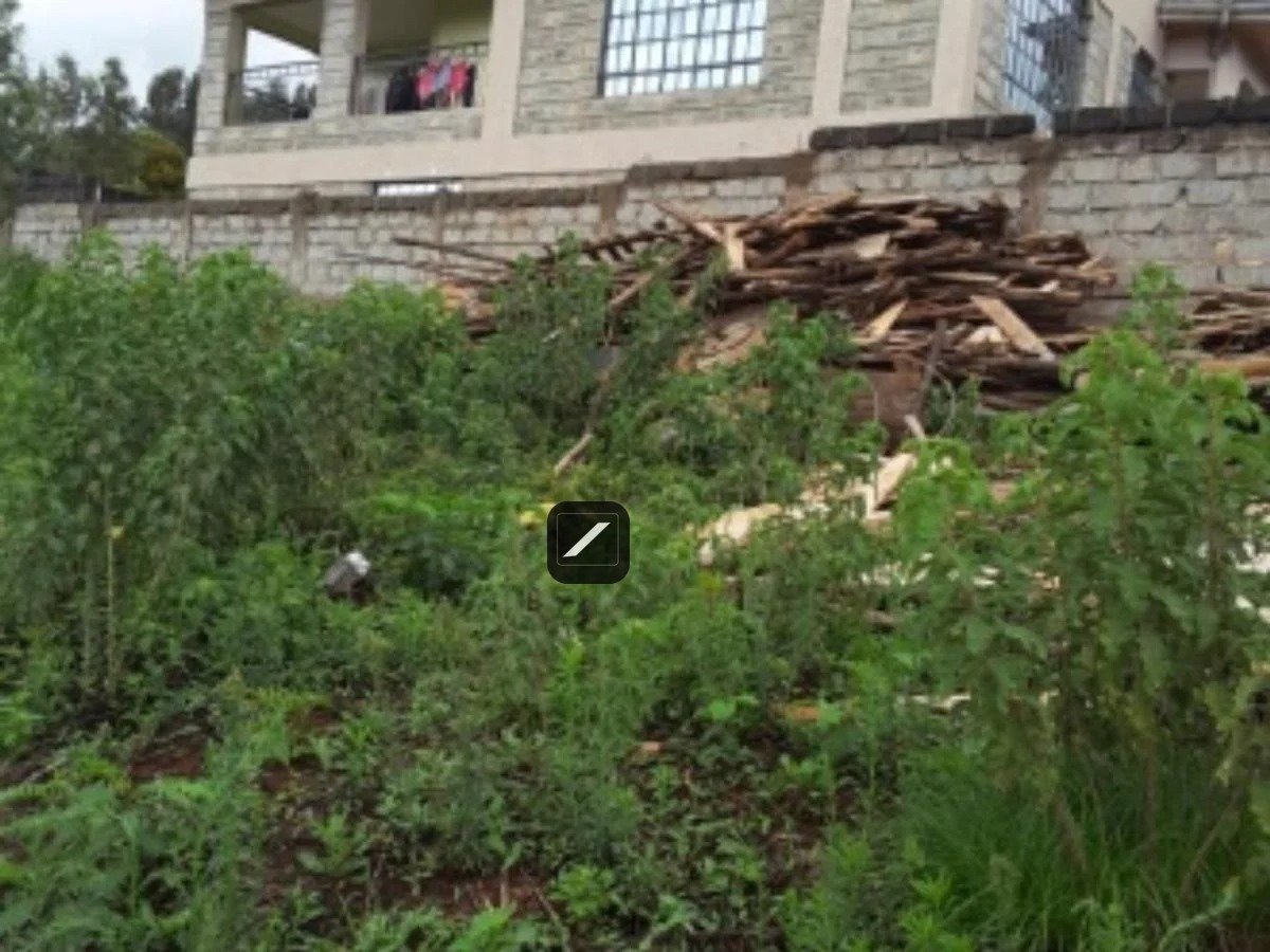 imgi_10_5548B103C8B7AC60476A0A84253B59D1