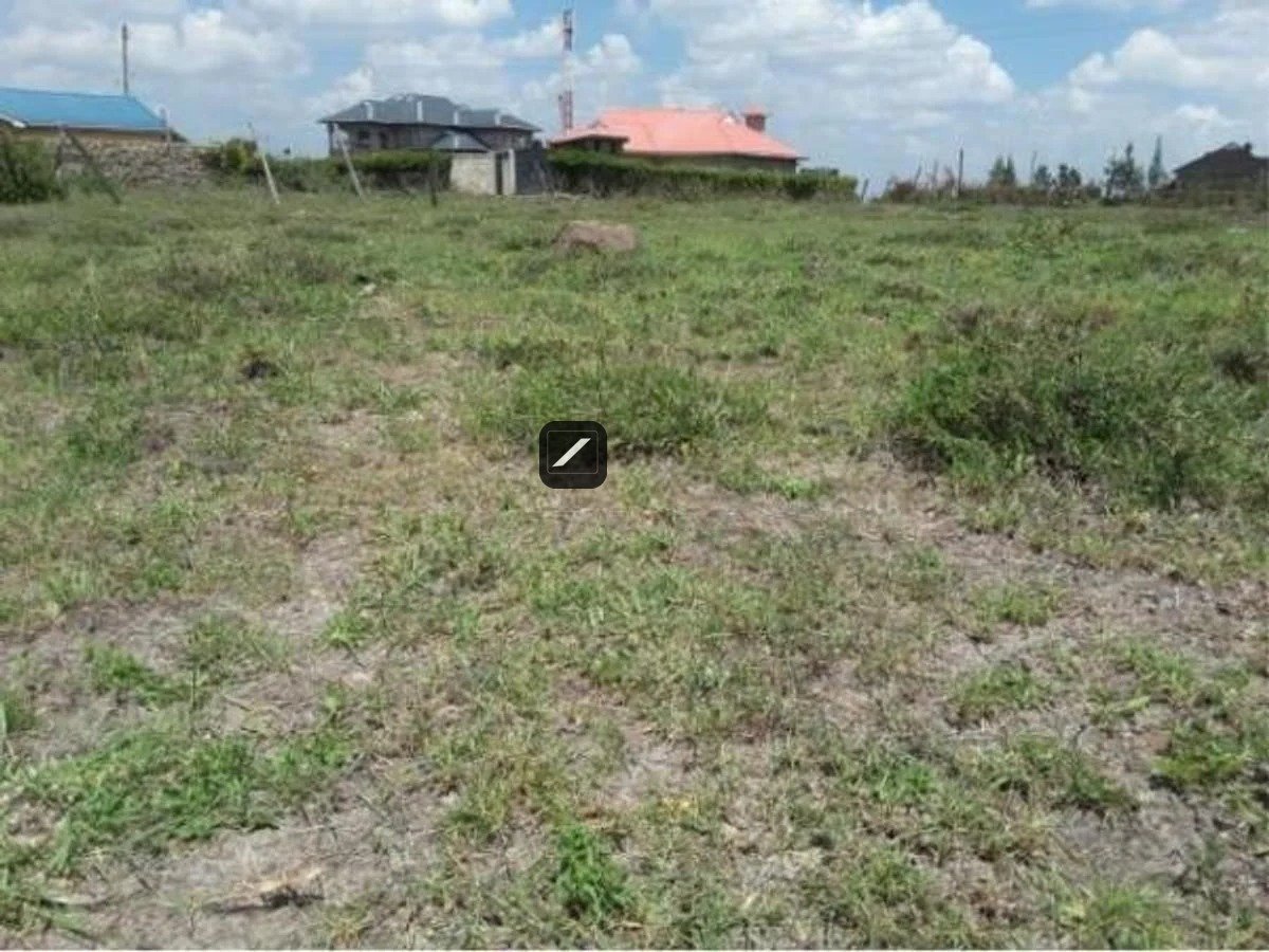 imgi_10_7259AEE1613D569138F93C71551CBDA4