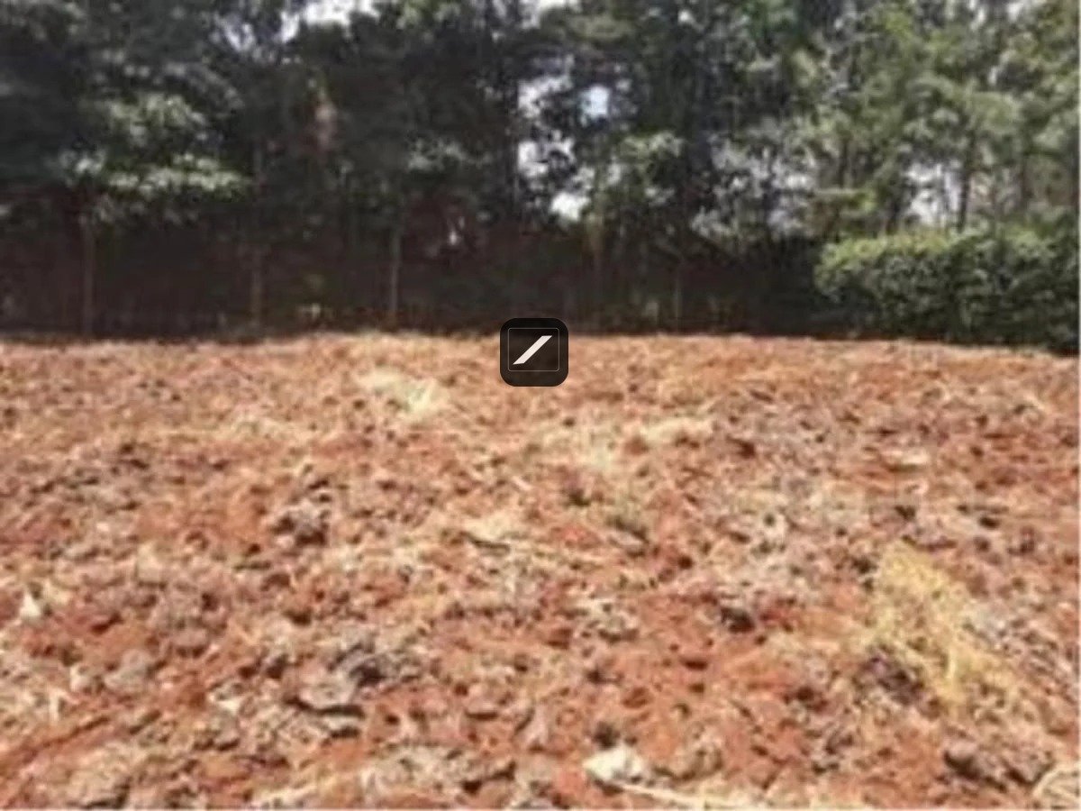 imgi_10_C1CB29FECF568B0BE267240C220BF466