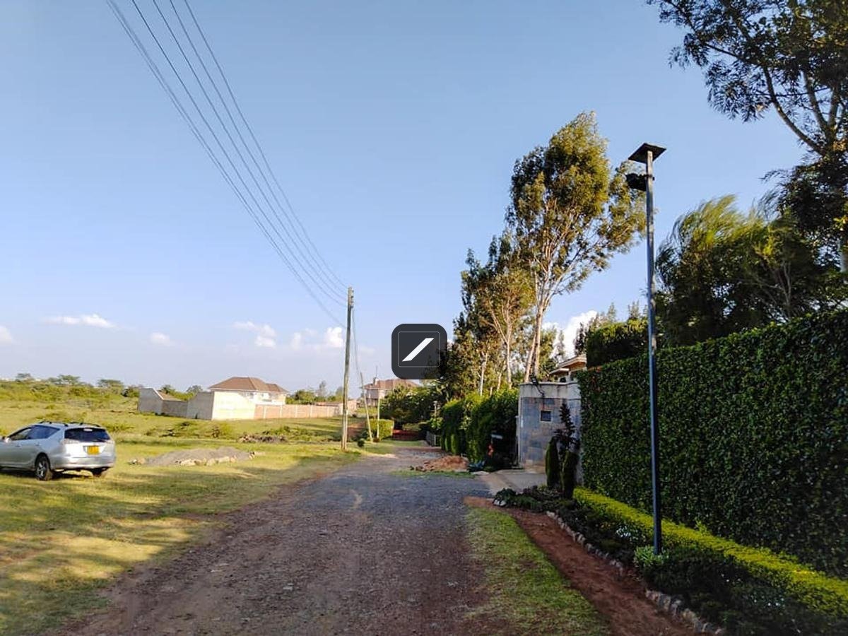 imgi_10_a251c22e-b66e-43f3-aa3c-f25aaed11eef