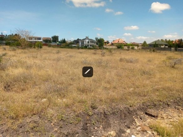 Imgi 10 b081c020 735e 48d1 a7ca 8d799233885e