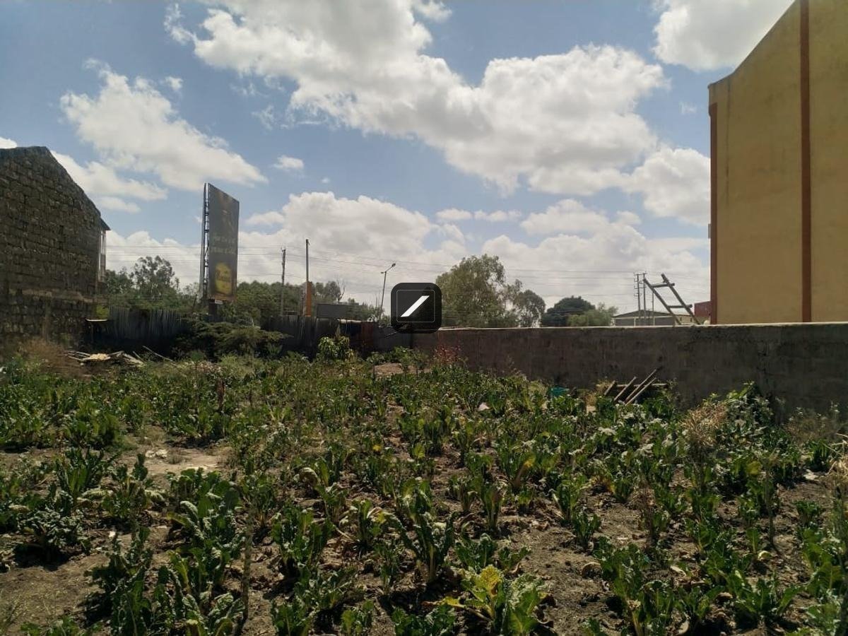 imgi_11_70128dde-fe5c-49aa-88a4-0886c8892ed0