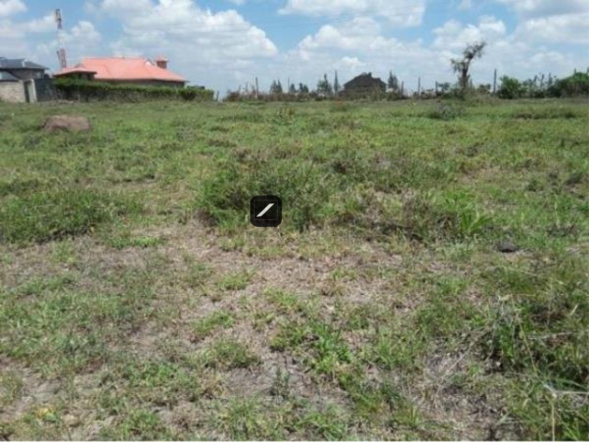 imgi_11_72B55BDE97336F6F95ABB0104937798D